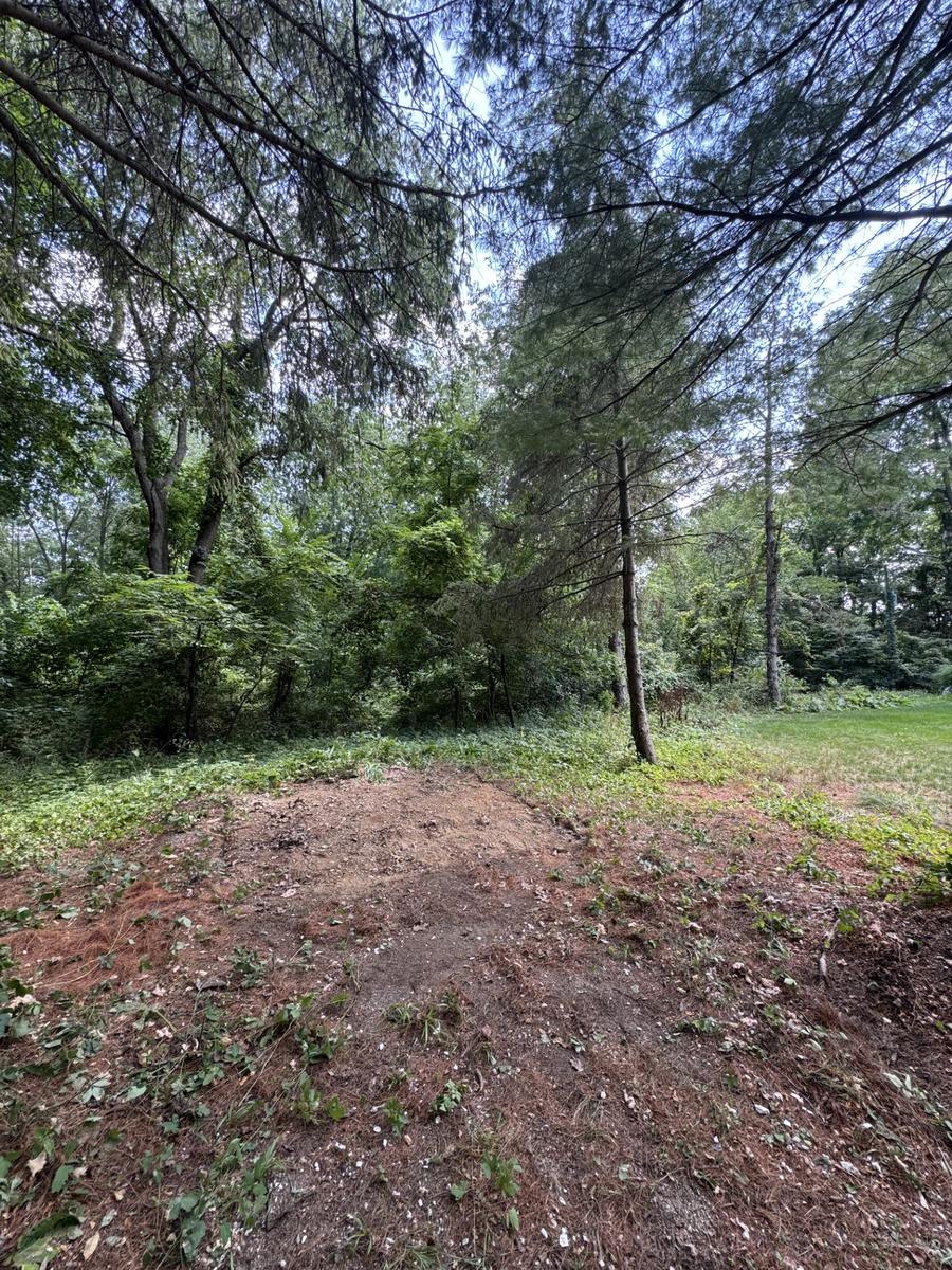 Shed site after cleanup, debris hauled away and ground cleared
